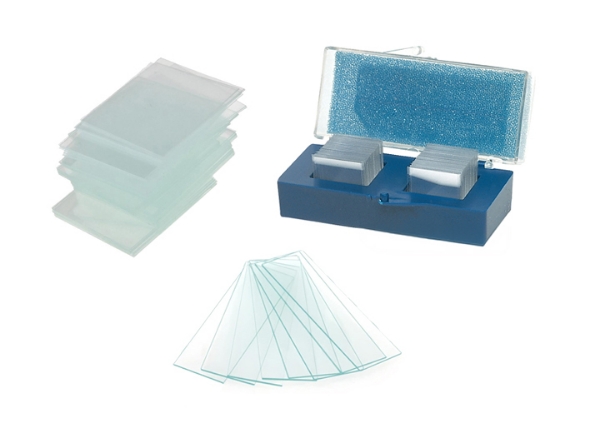 Parent Mounting Accessories Glass Slides Mounts.jpg